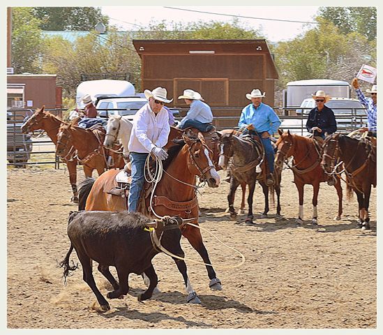 Bob Heading. Photo by Terry Allen.