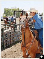 Going After the Steer. Photo by Terry Allen.