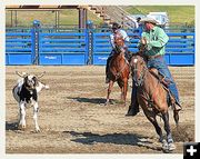 Big-Eyed Steer. Photo by Terry Allen.