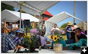 Music, Flowers, Shade. Photo by Terry Allen.