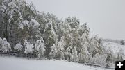 Kendall Valley snow. Photo by James Thomas.