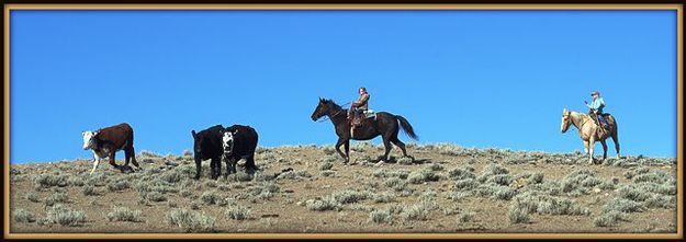 Libby and Lacey. Photo by Terry Allen.