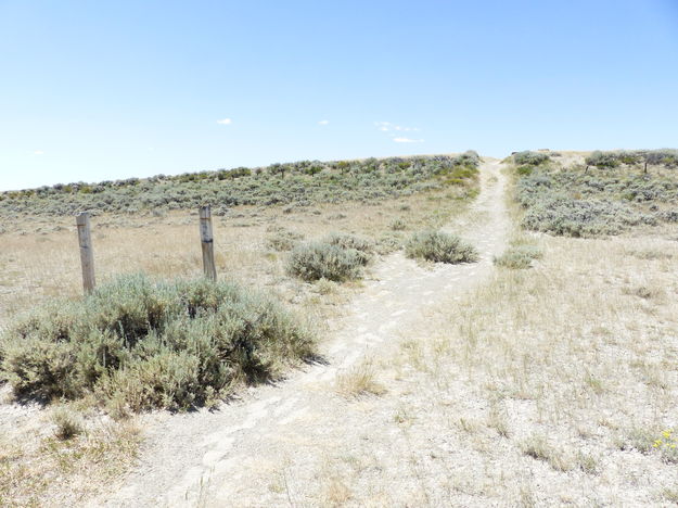 Entry path. Photo by Dawn Ballou, Pinedale Online.