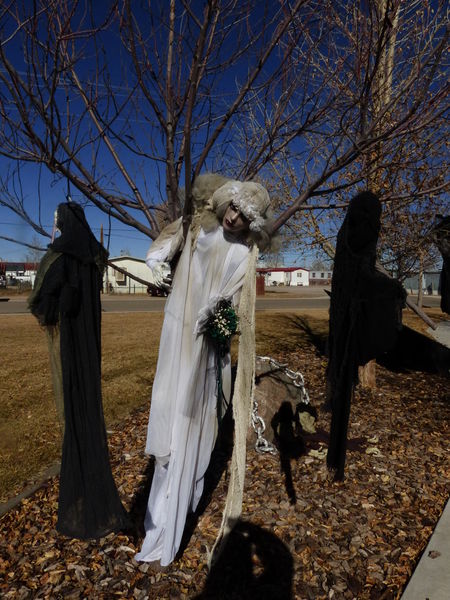 Ghosts. Photo by Dawn Ballou, Pinedale Online.