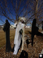 Ghosts. Photo by Dawn Ballou, Pinedale Online.