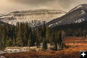 Up Cottonwood. Photo by Dave Bell.