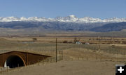 Crossing the wildlife overpass. Photo by Dawn Ballou, Pinedale Online.