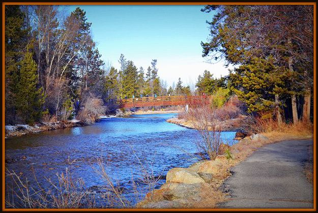 Thru the Woods and Over the Creek. Photo by Terry Allen.