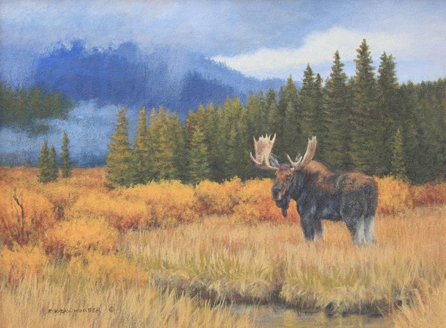 Meadow for Moose. Photo by Ruth Rawhouser.