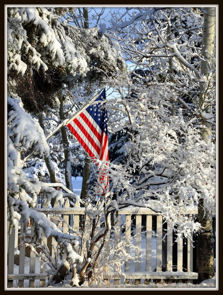 Old Glory. Photo by Terry Allen.
