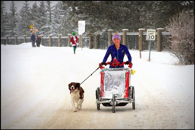 Amber Pushing Snow. Photo by Terry Allen.