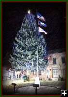 The Courthouse Tree. Photo by Terry Allen.