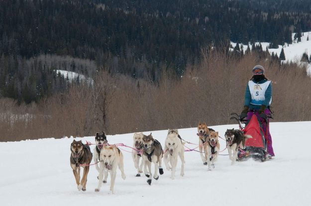 Greta from Colorado. Photo by Kendall Valley Lodge.