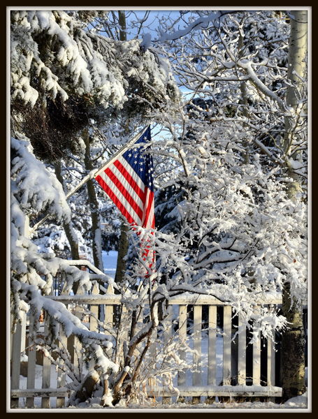 First Big Snow. Photo by Terry Allen.