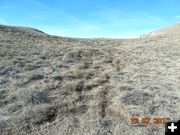 Oil dump after cleanup. Photo by Bureau of Land Management.