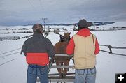 Feeding by Horse Drawn Sleigh. Photo by Terry Allen.