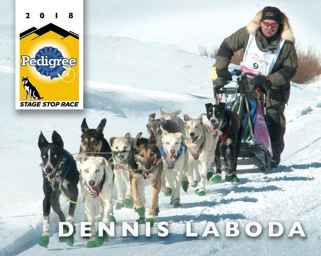 #13 Dennis LaBoda. Photo by International Pedigree Stage Stop Sled Dog Race.