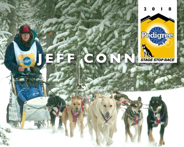 #8 Jeff Conn. Photo by International Pedigree Stage Stop Sled Dog Race.