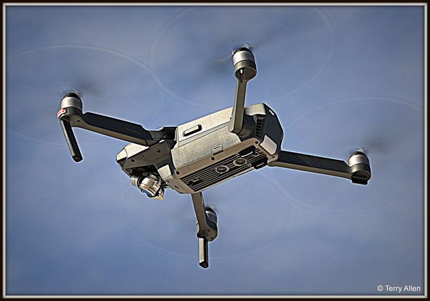Joe's Drone. Photo by Terry Allen.