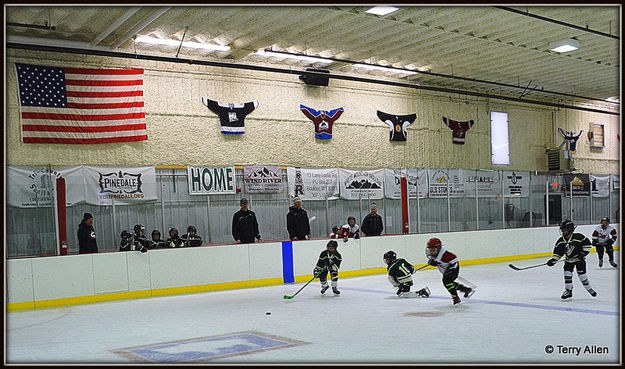 Race For the Puck. Photo by Terry Allen.