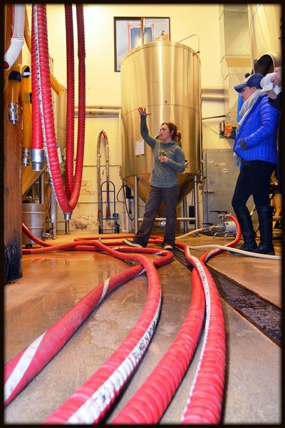 Moving the Beer. Photo by Terry Allen.