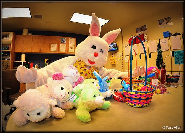 Bunny and Friends. Photo by Terry Allen.