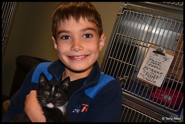 Declan Lobbies for a Kitten. Photo by Terry Allen.