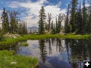 Photographers Point pond. Photo by Dave Bell.