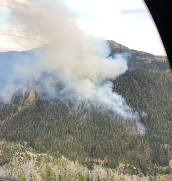 Roosevelt Fire. Photo by Bridger-Teton National Forest.