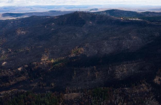 Roosevelt Fire. Photo by Rita Donham, Wyoming Aero Photo LLC.