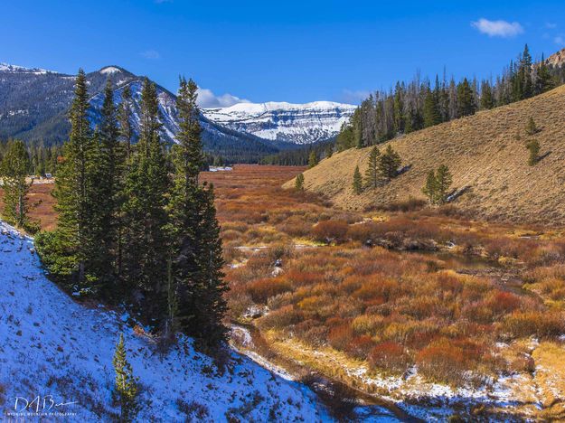 South Cottonwood Valley. Photo by Dave Bell.