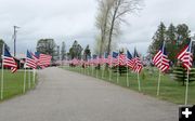 Flag lined road. Photo by Dawn Ballou, Pinedale Online.