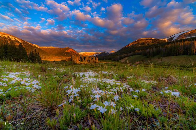 Sunrise on South Cottonwood. Photo by Dave Bell.