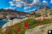 Paintbrush at the Falls. Photo by Dave Bell.