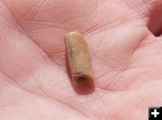 Bone Bead. Photo by Dave Vlcek, Bonneville Archaeology.