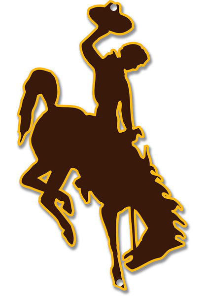 Wyoming Cowboys. Photo by University of Wyoming.