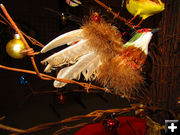 Bird in tree. Photo by Dawn Ballou, Pinedale Online.