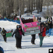 Pink Power. Photo by Dawn Ballou, Pinedale Online.