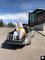 Easter Bunny Parade. Photo by Pinedale Aquatic Center.