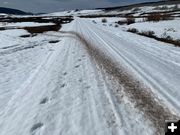 Pronghorn trail. Photo by Rob Tolley.