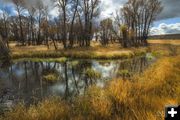 Fall scene. Photo by Dave Bell.