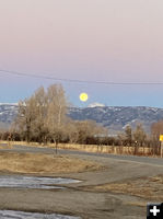 Big Moon. Photo by Renee Smythe.