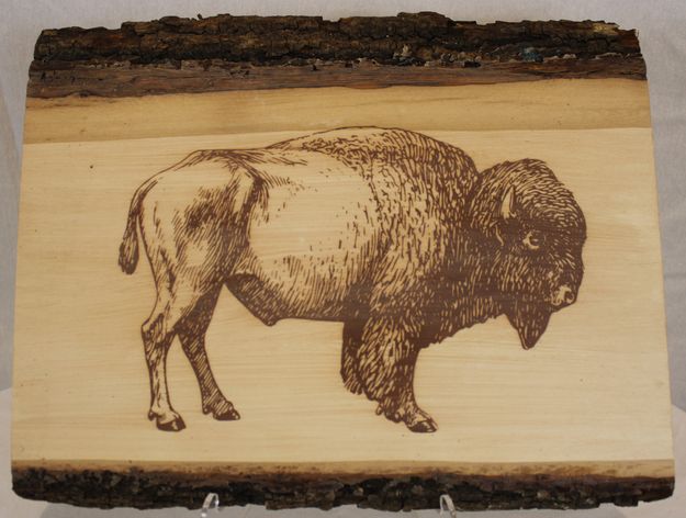 Buffalo Plaque. Photo by Pinedale Online.