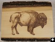 Buffalo Plaque. Photo by Pinedale Online.
