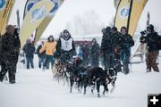 Alpine start. Photo by Pedigree Sled Dog Race.