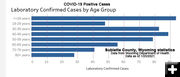 Age of Positive Cases-Sublette Co. Photo by Wyoming Department of Health.