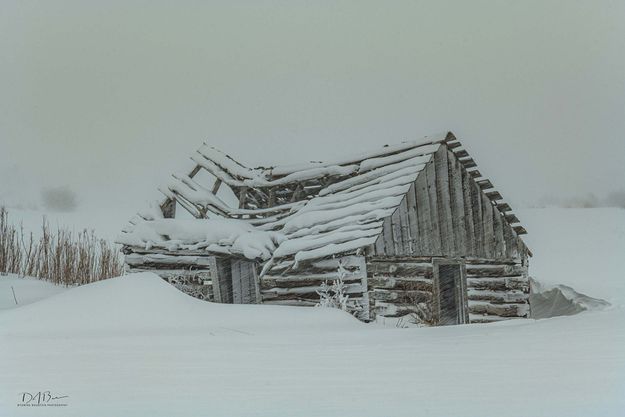 One more winter. Photo by Dave Bell.