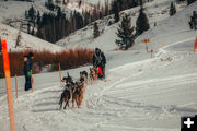 Big Piney - Marbleton course. Photo by Pedigree Sled Dog Race.