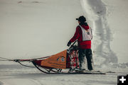 Big Piney - Marbleton Stage. Photo by Pedigree Sled Dog Race.