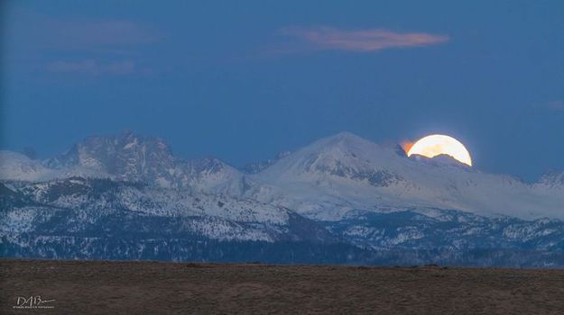 Worm Moon. Photo by Dave Bell.